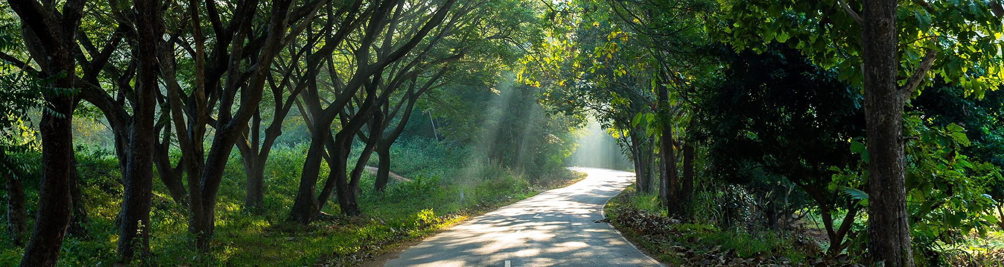 Country Road